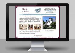 Ascot Website Home
