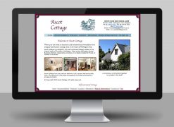 Ascot Website Home