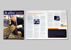 SPCA Animal Voice magazine