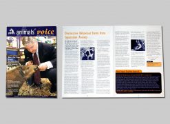 SPCA Animal Voice magazine