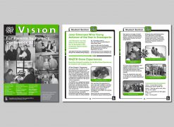 PVINZ Vision Magazine